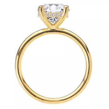 Diamond Hidden Halo Engagement Ring 160151-RD200Y