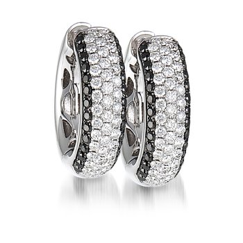 Earrings FWE0006BD+DW