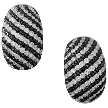 Earrings FWE0002BD+DW