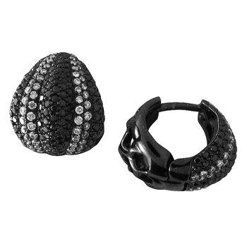 Earrings FWE0785BD+DW