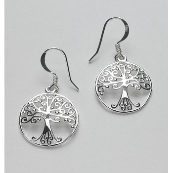 Earrings E369