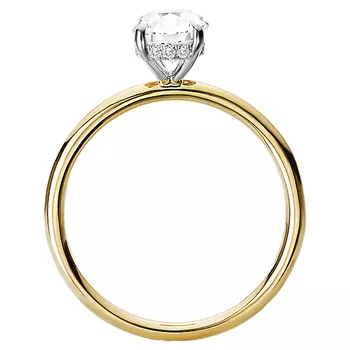 Diamond Hidden Halo Two-Tone Engagement Ring 160151-OV100TT
