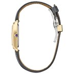 Citizen LAD ECO WR50 SSG STRA GOLD EW5622-09P