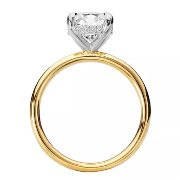 Diamond Hidden Halo Two-Tone Engagement Ring 160151-OV200TT