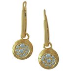 Cherie Dori Earrings FWE0037DY