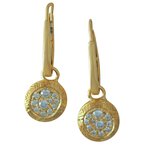 Cherie Dori Earrings FWE0037DY