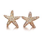 Cherie Dori Earrings FWE0202DR