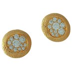 Cherie Dori Earrings FWE0401DY