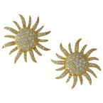 Cherie Dori Earrings FWE0371DY