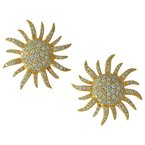 Cherie Dori Earrings FWE0371DY