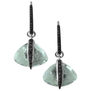 Earrings FWE0076BD-CRW