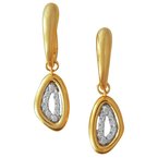 Cherie Dori Earrings FWE0017D2T