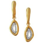 Cherie Dori Earrings FWE0017D2T