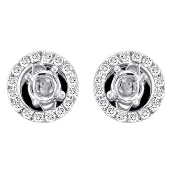 Earrings FWE0107W-JCK