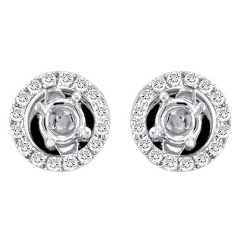 Earrings FWE0107W-JCK