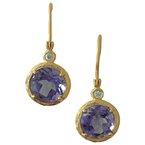 Cherie Dori Earrings E546097YAM