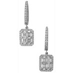 Cherie Dori Earrings FWE0176DW