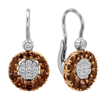 Earrings FWE0043CD+D2R