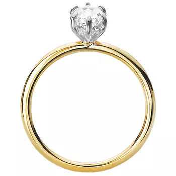 Diamond Hidden Halo Two-Tone Engagement Ring 160151-MQ100TT