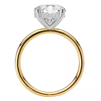 Diamond Hidden Halo Two-Tone Engagement Ring 160151-RD300TT