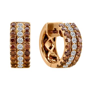 Earrings FWE0397CD+DR