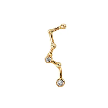 Earrings E504