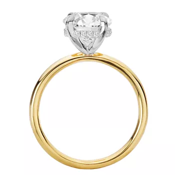 Diamond Hidden Halo Two-Tone Engagement Ring 160151-OV300TT