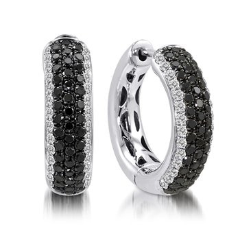 Earrings FWE0010BD+DW