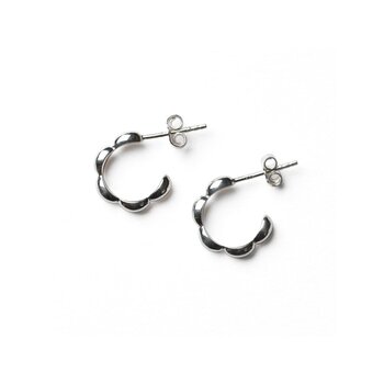 Earrings E536