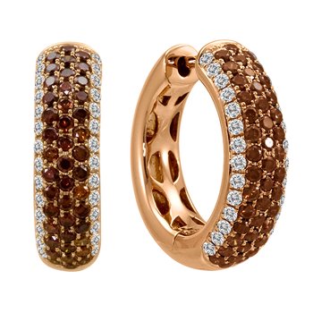 Earrings FWE0010CD+DR