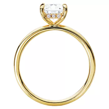 Diamond Hidden Halo Engagement Ring 160151-PC100Y