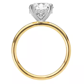 Diamond Hidden Halo Two-Tone Engagement Ring 160151-RD200TT
