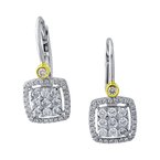 Cherie Dori Earrings FWE2425YD+D2T