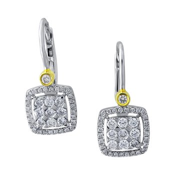 Earrings FWE2425YD+D2T