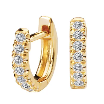 Earrings E576