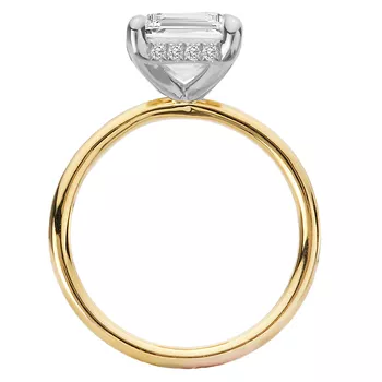 Diamond Hidden Halo Two-Tone Engagement Ring 160151-EM300TT
