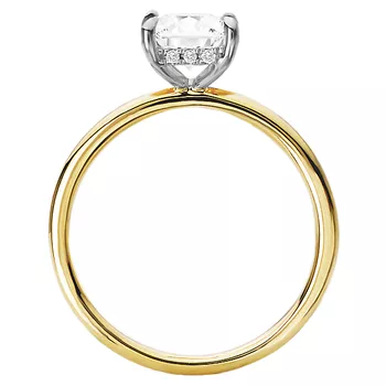 Diamond Hidden Halo Two-Tone Engagement Ring 160151-PC100TT