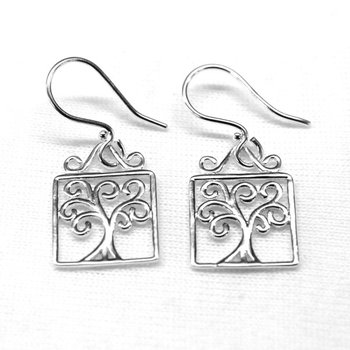 Earrings E456