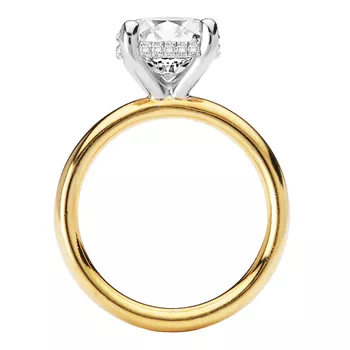 Hidden Halo Semi-Mount Diamond Engagement Ring 160298-RD300Y
