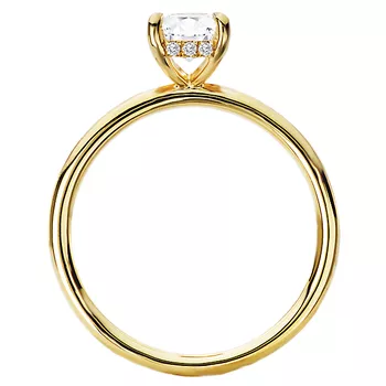 Diamond Hidden Halo Engagement Ring 160151-EM100Y